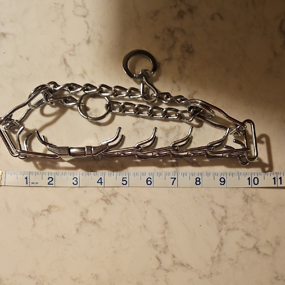 Dog Prong Collar